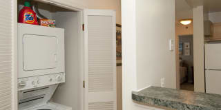 The Ivy Club Gallery 6