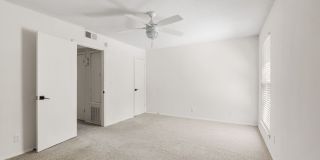 Palmetto Square Gallery 91