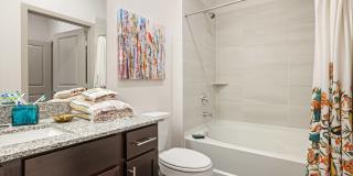 Brio at Lookout Brio at Lookout Gallery 11