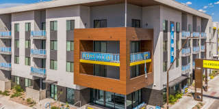 Blue Eastline Gallery 31