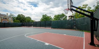 Lakeside Apartments Gallery 87