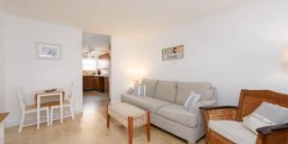 455 Ocean Boulevard Gallery 4