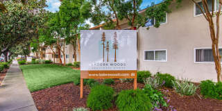 Ladera Woods Gallery 19