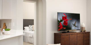 Las Palmas Gallery 16