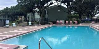 2019 DIXIE BELLE Drive Gallery 20