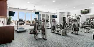 Alexander Park Gallery 23