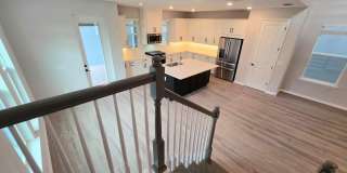14768 FIELD DAISY Drive Gallery 25