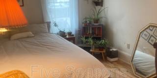 18-20 Hayward Street - 1 Gallery 3