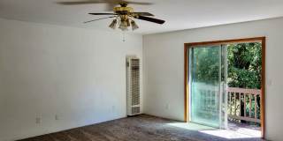 3 Bedroom 2 bath recently updated Gallery 14