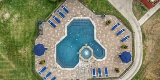 Renaissance Gallery 4