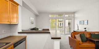 Thea's Landing Gallery 11