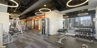 Museum Tower Gallery 10