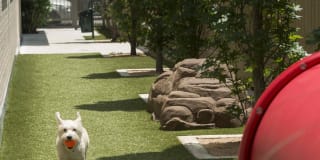 Hanover Southampton Gallery 16