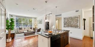 Andante at Nine Mile Station Gallery 21