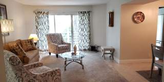 3755 Via Poinciana Gallery 10