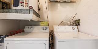 14461 Lakewood Trace Ct Apt 303 Gallery 22