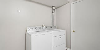 142 SANDY Lane Gallery 17