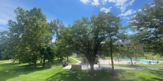 Northgate Gallery 193