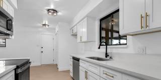 1001 Kings Row Gallery 1
