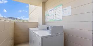 Relaxing 1BR/1BA Condo in Honolulu Gallery 18