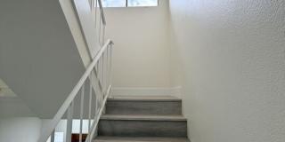31 Eastern Ave Gallery 19