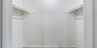 Prospera Village Gallery 27