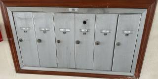 1014 Salzedo St Gallery 15