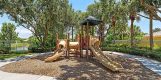 4526 Illicium Drive Gallery 45