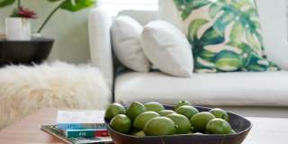 Anthology Apartments Gallery 10