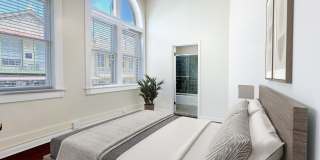 245 Losoya Gallery 33