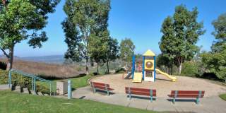 Palm Court Furnished Delight! Gallery 20