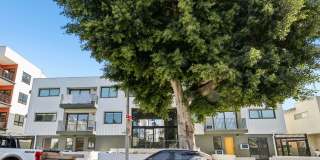 ST Living at 1422 Tamarind | Come Home to Elevated Comfort Gallery 31