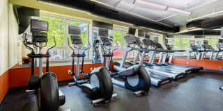 Wheaton 121 Gallery 18