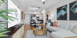 Tortoise One Gallery 5