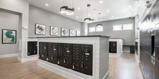 Alexan Magnolia Gallery 22