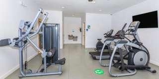 Treehouse Apartments Gallery 18