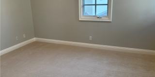 4 Coral Cay Gallery 11