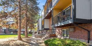 ReNew Pinehurst Gallery 39