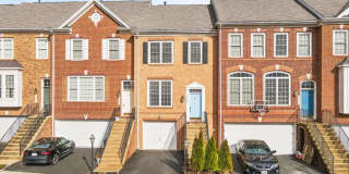 21753 LADYSLIPPER Square Gallery 1