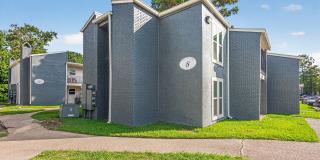 Bellecour Crossing Gallery 118