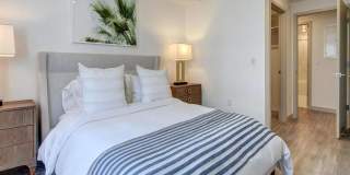 Pearl at Flagler Village Gallery 8