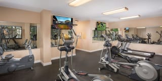 Cole Spring Plaza Apartments Gallery 10