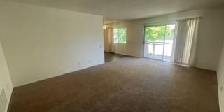 111 W Avenida de los Arboles Gallery 14