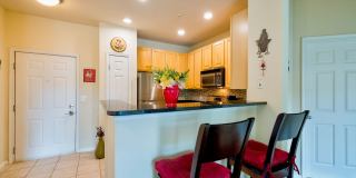 Elegant 2BD Condo with Unbeatable Access & Premium Features in Arlington w/ Parking! Elegant 2BD Condo with Unbeatable Access & Premium Features in Arlington w/ Parking! Gallery 12