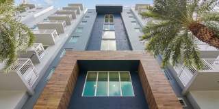 Blue Lagoon 7 Gallery 2