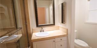 45 Auvergne Gallery 8