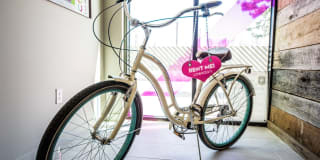 Corazon Gallery 11