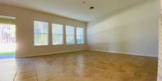 6836 Trellis Vine Loop Gallery 39