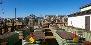 Cadia Sherman Gallery 41