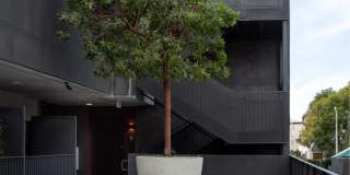 The Charlie WeHo Gallery 8